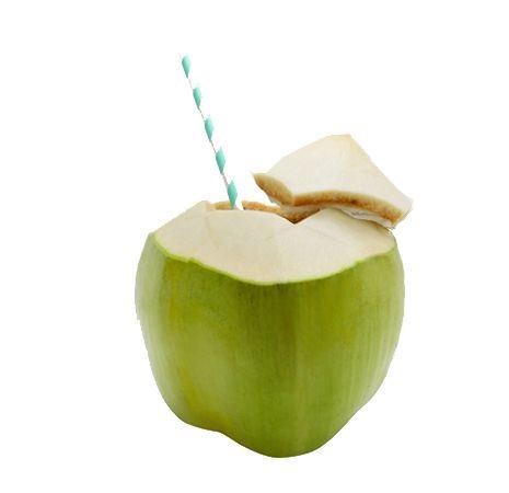 Green Fresh Tender Coconut (No Refund or Exchange Item & Consumed Within 2 days) - 1 Pc