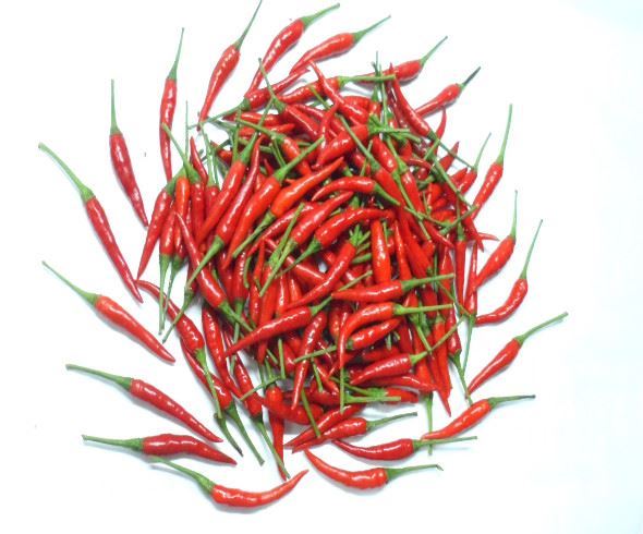 Fresh Red Chilli Padi (Thailand) - 150 g