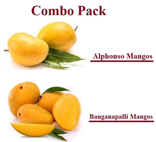 Combo ~ Fresh Banganapalli & Alphonso Mangoes India (No Exchange or Refund for this item) - 2 Kg ~ (Each variety 1 Kg)